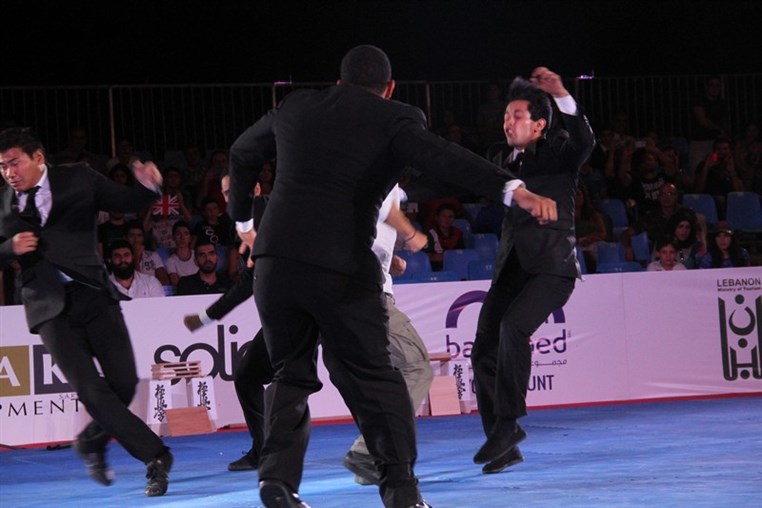 Martial Arts Festival